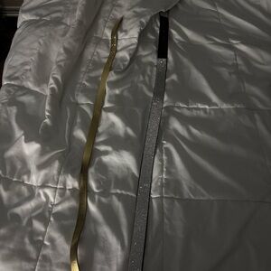 Elegant Gold and Silver Women's Belt Set